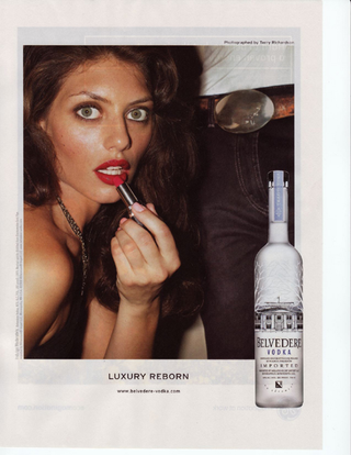 Illustration for article titled Putting "Cock" In Cocktail: The 14 Most Pervy Vodka Ads